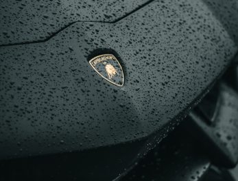 pexels-asish-aji-10493497